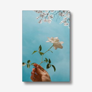 Silent Blossom - Canvas (in)